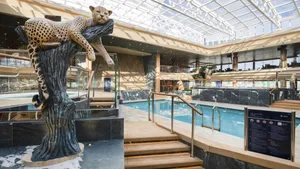 MSC GRANDIOSA image 19