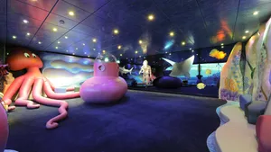 MSC MAGNIFICA image 14